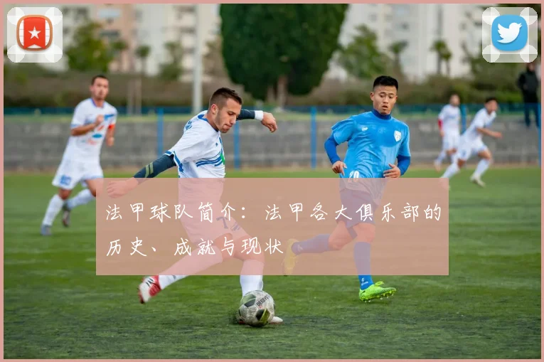 法甲球队简介：法甲各大俱乐部的历史、成就与现状
