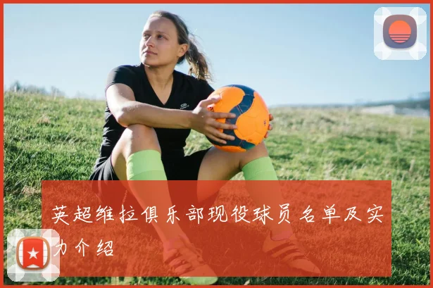 英超维拉俱乐部现役球员名单及实力介绍