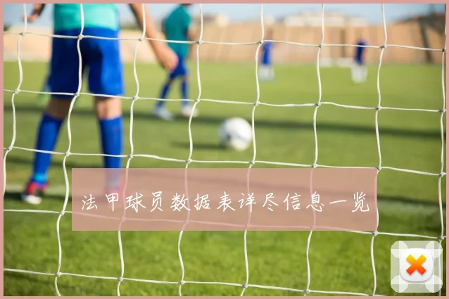 法甲球员数据表详尽信息一览